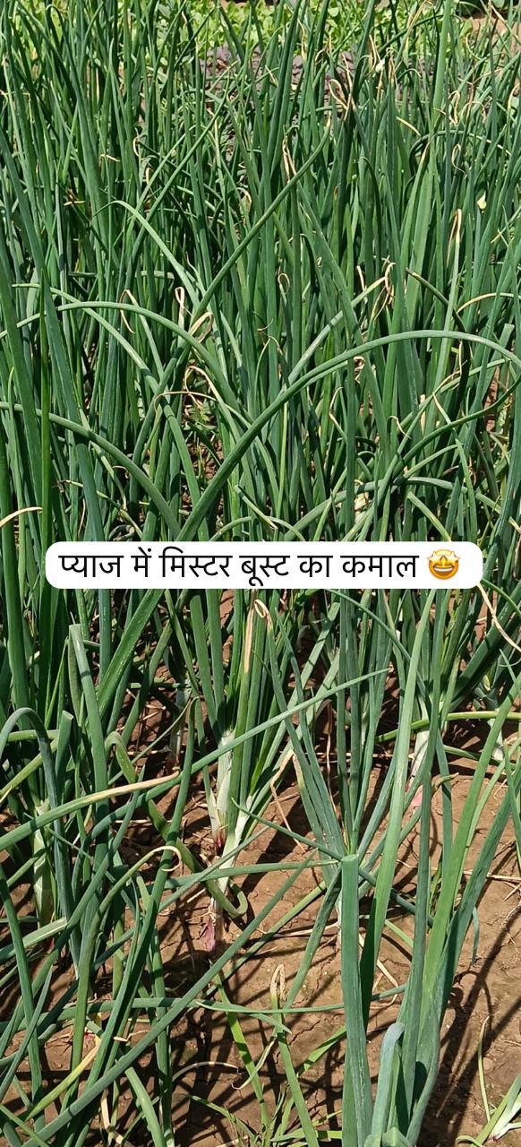 Mr. Boost - Best Plant Growth Promoter Fertilizer in India | Seaweed Extract for Flowering & Yield