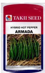 Hybrid Hot Pepper Armada F1 Seeds | High Yield Spicy Chilli Variety