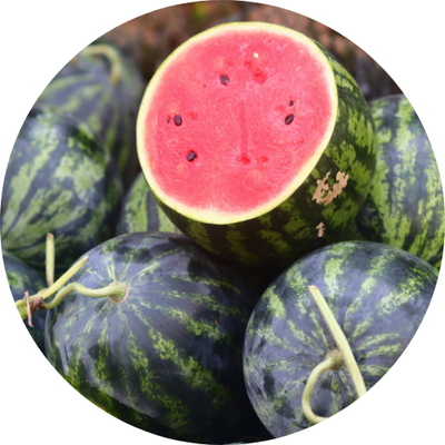 Watermelon Crop