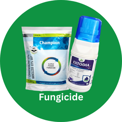 Fungicide