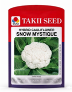 Hybrid Cauliflower Snow Mystique F1 Seeds | High Yield Snow White Cauliflower Variety