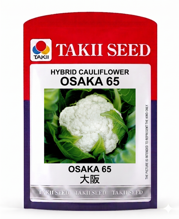 Hybrid Cauliflower Osaka 65 F1 Seeds | Early Maturity High Yield Cauliflower Variety