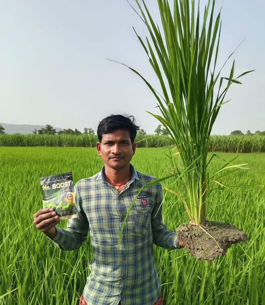 dhan mai zabardast growth 