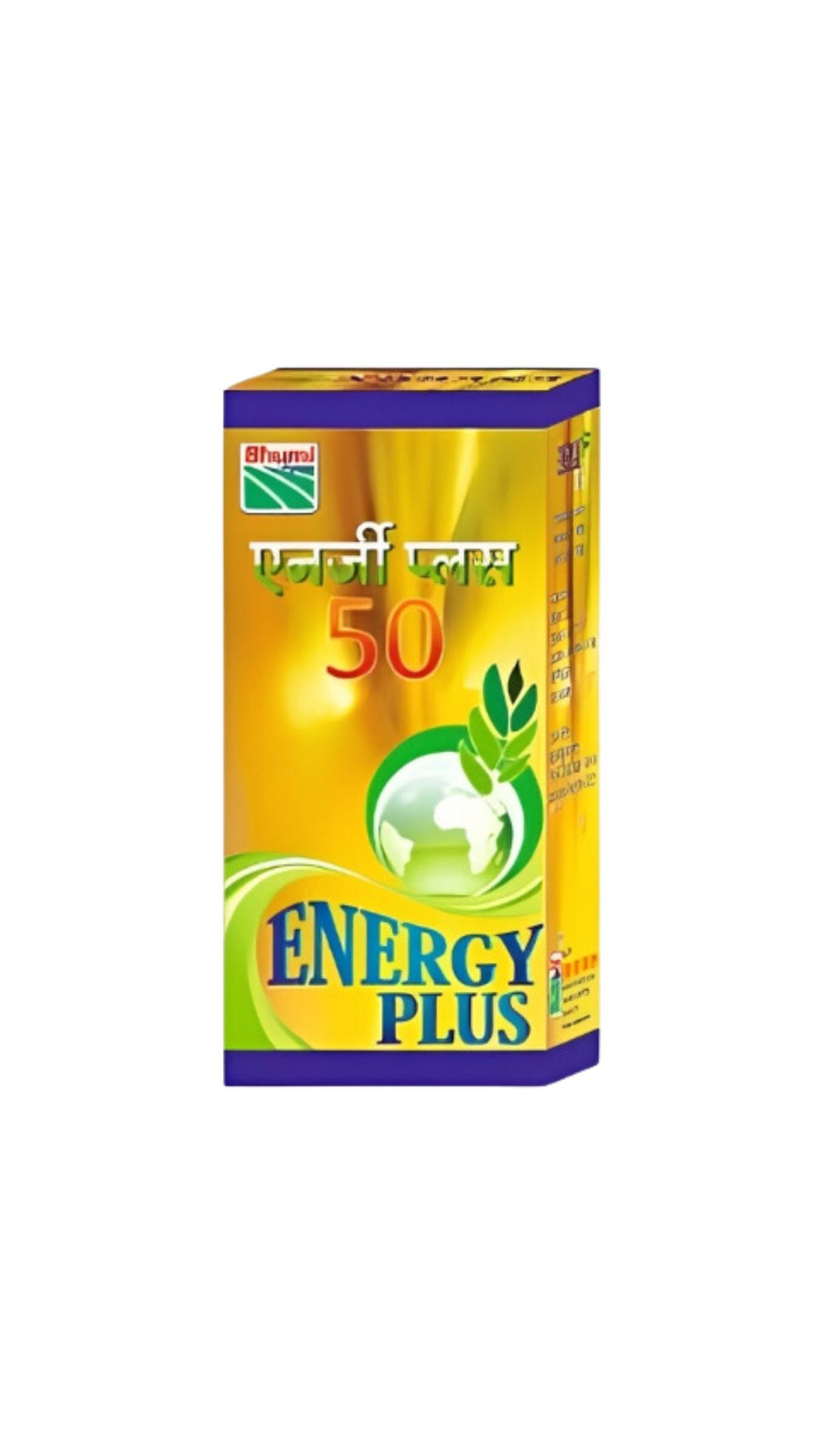Energy Plus