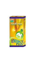 Energy Plus