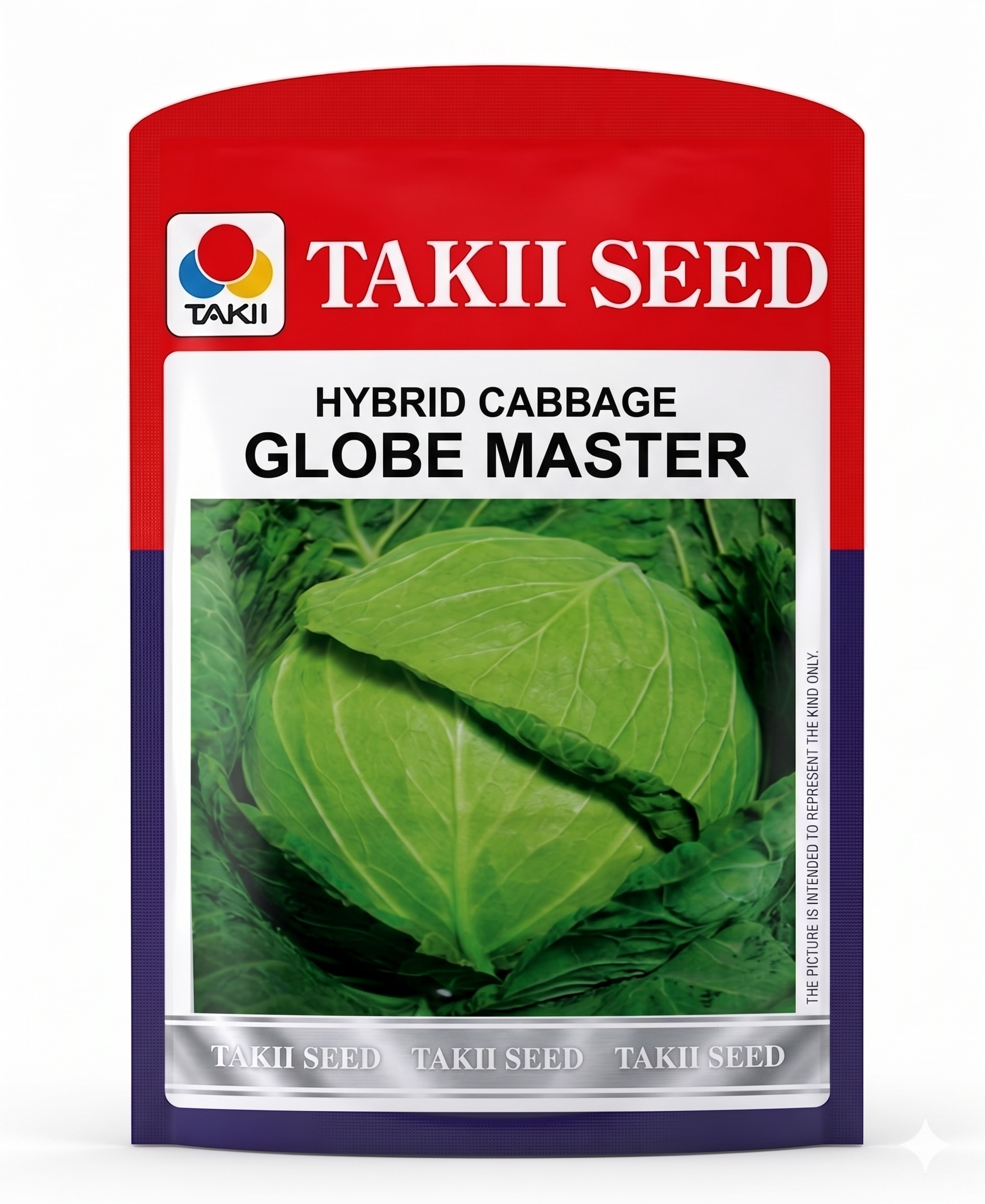 Hybrid Cabbage Globe Master F1 Seeds | High Yield Large Round Green Cabbage Variety
