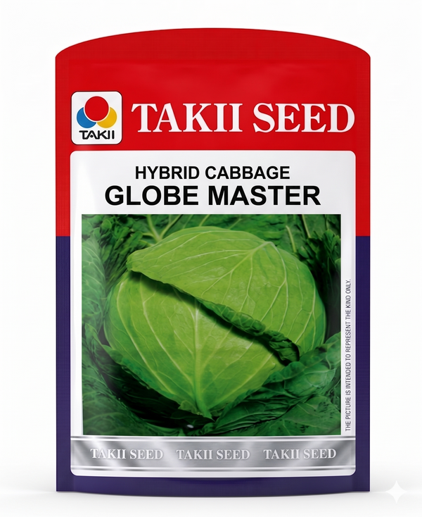 Hybrid Cabbage Globe Master F1 Seeds | High Yield Large Round Green Cabbage Variety