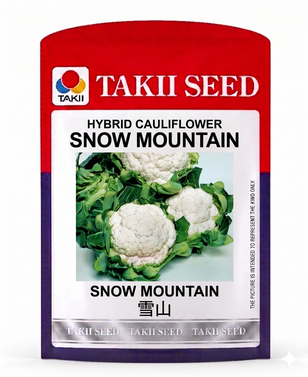 Hybrid Cauliflower Snow Mountain F1 Seeds | High Yield Snow White Cauliflower Variety