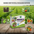 Magsulf K- Potassium Magnesium Sulphate