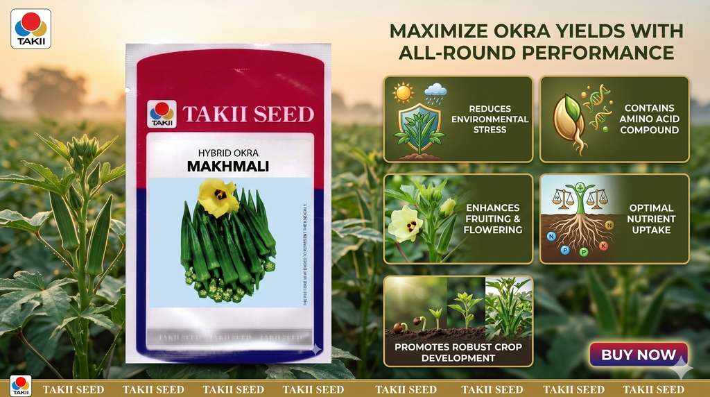 Hybrid Okra Makhmali F1 Seeds | High Yield Tender Bhindi Variety