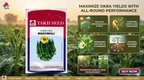 Hybrid Okra Makhmali F1 Seeds | High Yield Tender Bhindi Variety