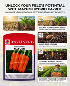 Hybrid Carrot Mayumi F1 Seeds | High Yield Orange Carrot Variety
