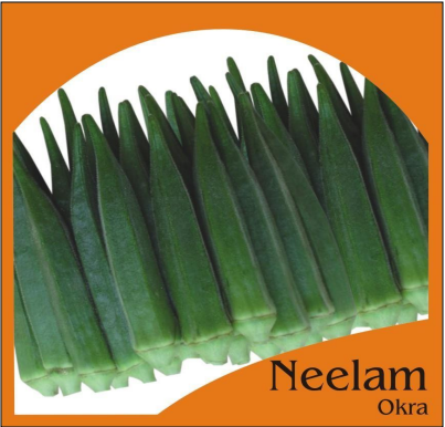 Neelam Okra | Home Gardening Seeds