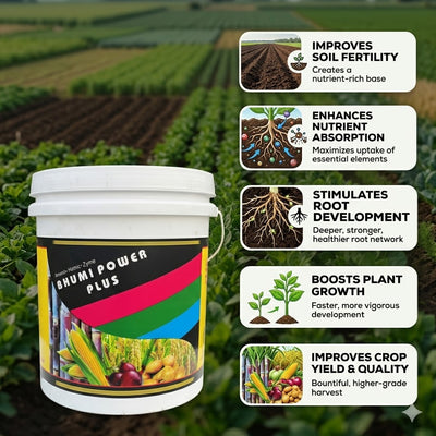 Amino acid fertilizer for plant growth