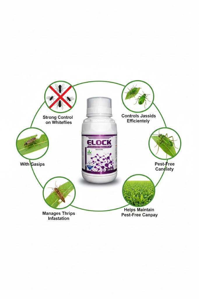 ELOCK ( DIFENTHIURON 47.0 % + BIFENTHRIN 9.4 % SC )