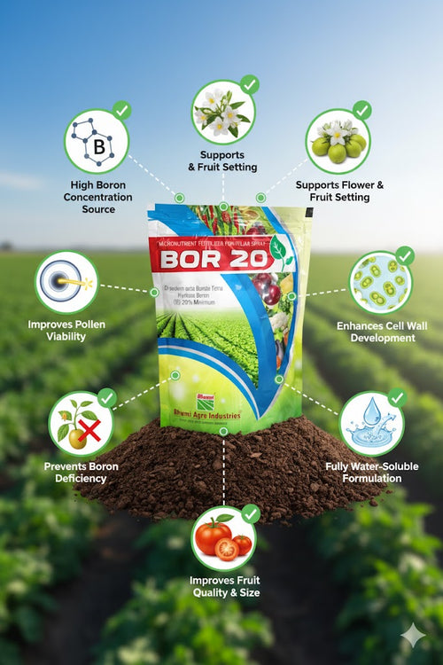 BOR - 20 - Sodium Octa Borate Tetra Hydrate Boron
