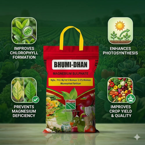 Bhumi Dhan