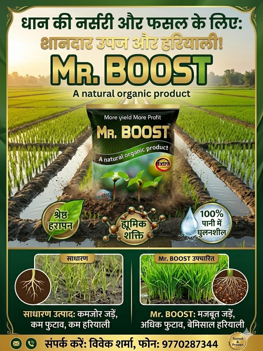 dhan mai 20- 25 din mai konsa fertiliser upyog kare 