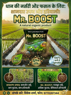 dhan mai 20- 25 din mai konsa fertiliser upyog kare 