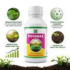 Potassium mobilizing biofertilizer