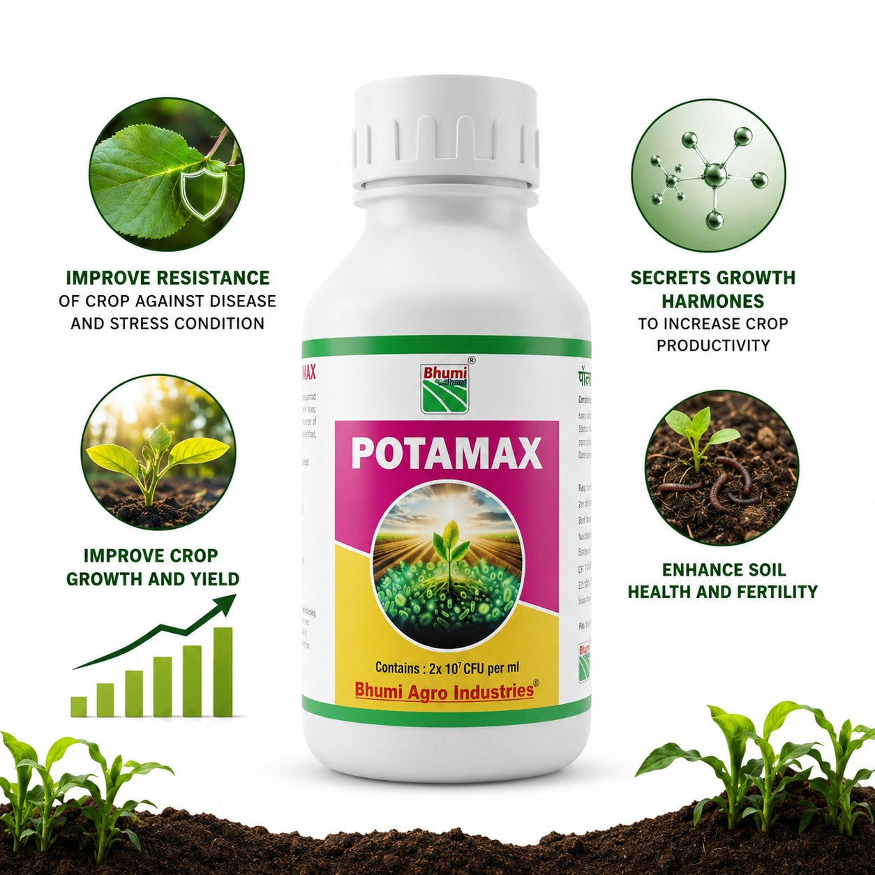 Potassium mobilizing biofertilizer