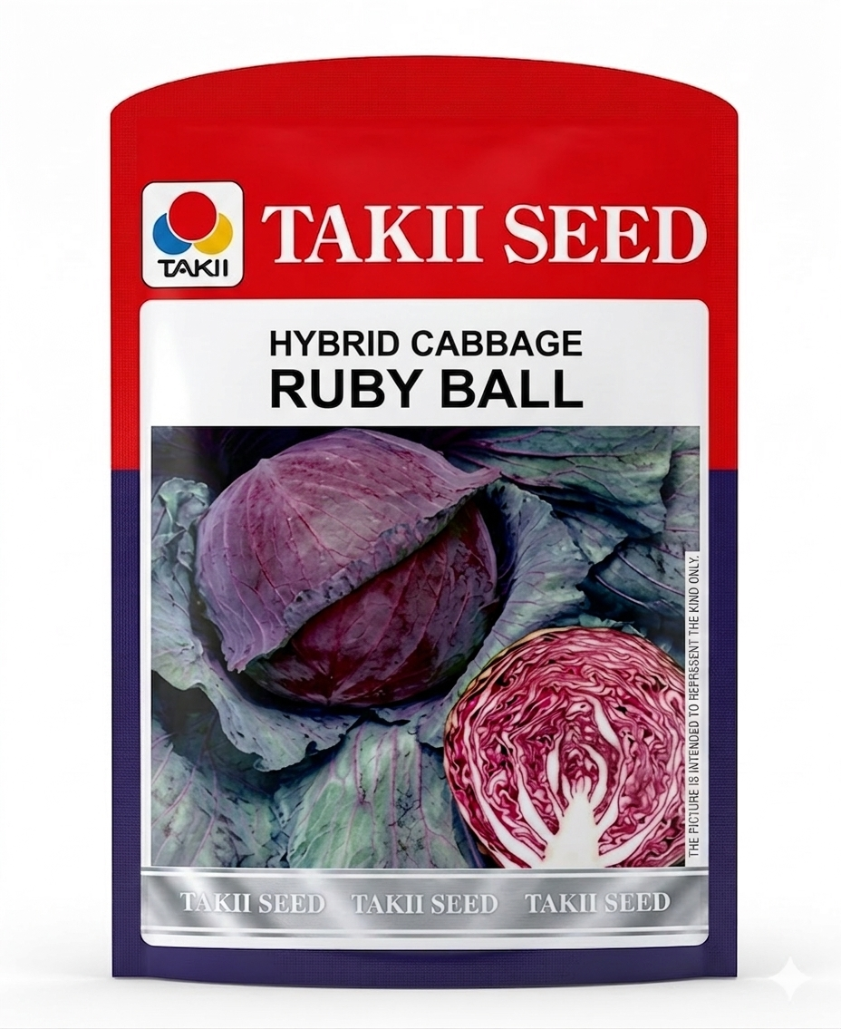 Hybrid Cabbage Ruby Ball F1 Seeds | High Yield Red Cabbage Variety