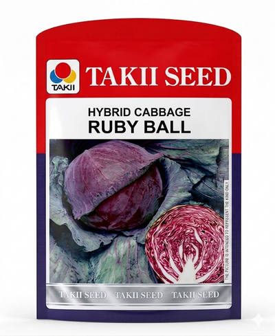 Hybrid Cabbage Ruby Ball F1 Seeds | High Yield Red Cabbage Variety