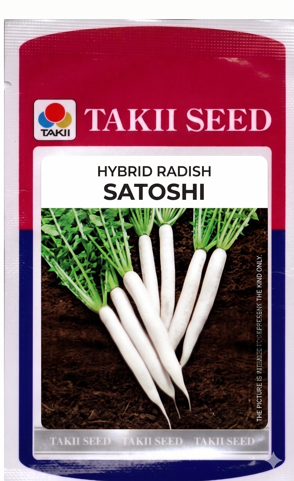 Hybrid Radish Satoshi F1 Seeds | High Yield White Radish Variety