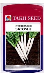 Hybrid Radish Satoshi F1 Seeds | High Yield White Radish Variety