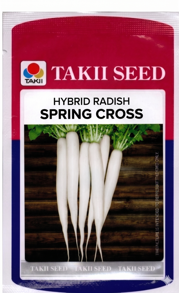 Hybrid Radish Spring Cross F1 Seeds | High Yield White Radish Variety