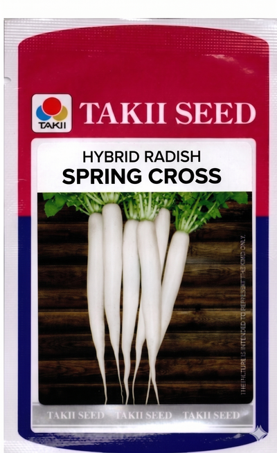 Radish