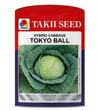 Hybrid Cabbage Tokyo Ball F1 Seeds | High Yield Round Green Cabbage Variety