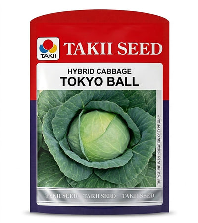 Hybrid Cabbage Tokyo Ball F1 Seeds | High Yield Round Green Cabbage Variety
