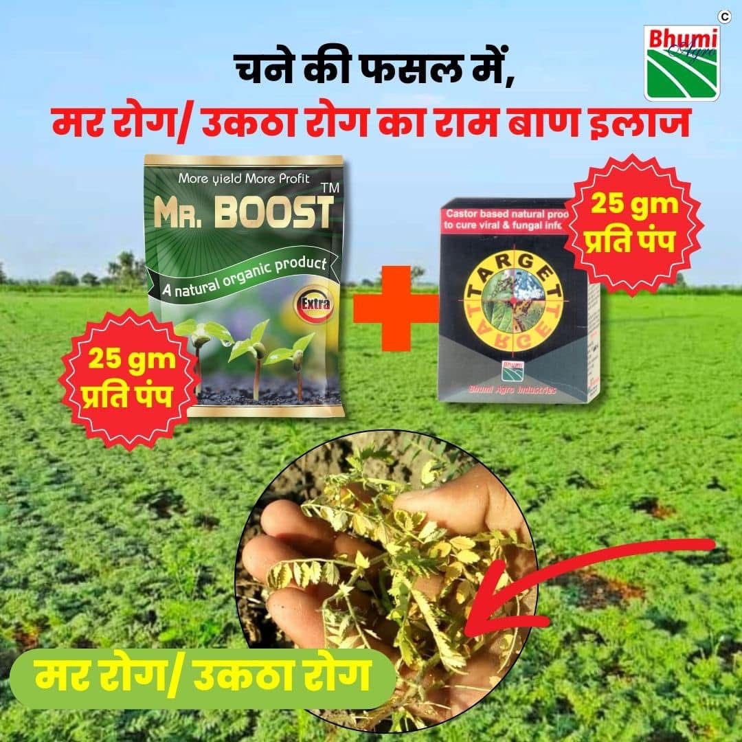 best pgr for chana 